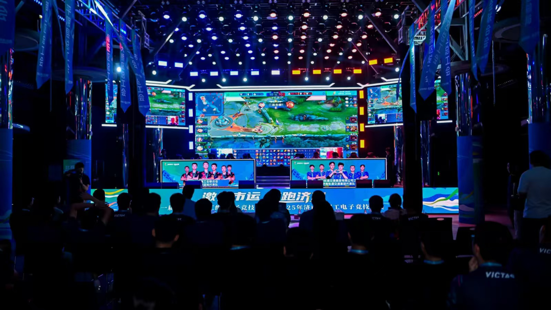 某些球迷不 某些球迷不