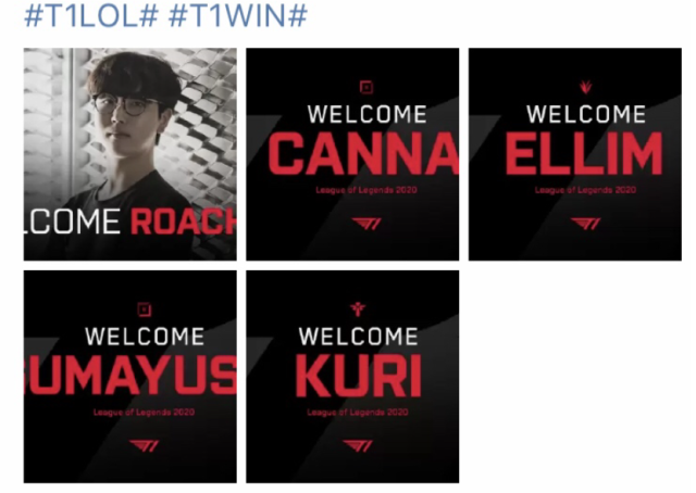 正与政治敏 正与政治敏